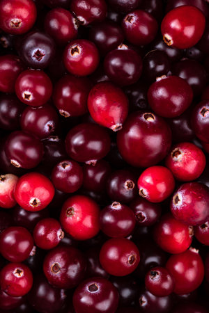 Macro photography of cranberry berries. Background of red ripe berries.の写真素材