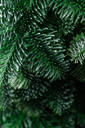The green branches of nobilis are close. green floral backgroundの写真素材