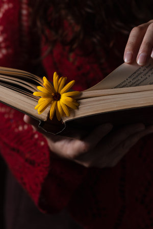 A book with a flower as a bookmark in the hands of the reader