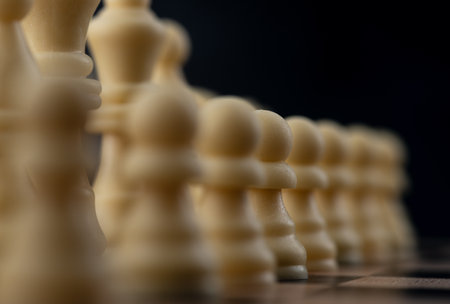 Chess pieces on the boardの写真素材