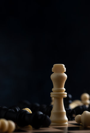 Chess pieces on the boardの写真素材