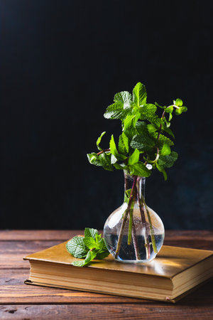 Mint sprigs in a bottle on the tableの写真素材