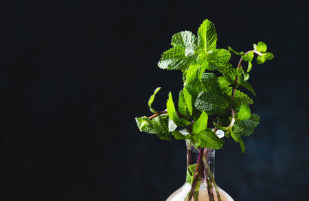 Mint sprigs in a bottle on the tableの写真素材