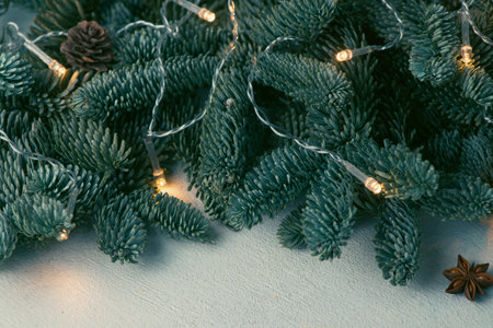 Nobilis branches with a luminous garlandの写真素材