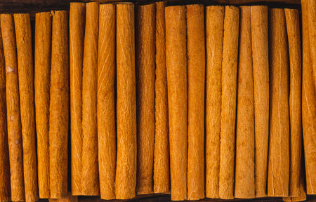 macrophotography of cassia cinnamon sticksの写真素材
