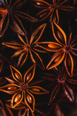 Stars of star anise macrophotographyの写真素材