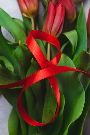 A bouquet of tulips tied with a red ribbon in the form of the number eightの写真素材