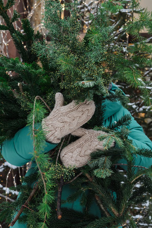 The girl holds an armful of coniferous branches with her handsの写真素材