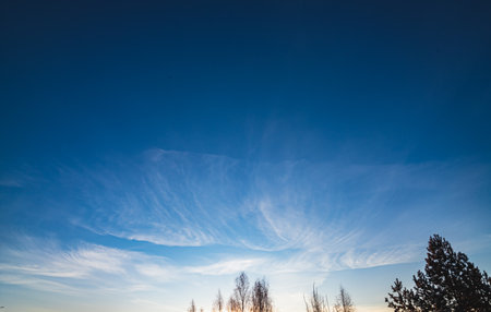 Dawn skies, pink clouds, delicate colors, bright skyの写真素材