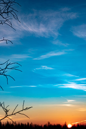 Dawn skies, pink clouds, delicate colors, bright skyの写真素材