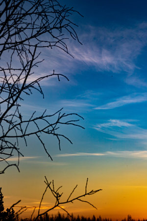 Dawn skies, pink clouds, delicate colors, bright skyの写真素材