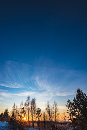 Dawn skies, delicate colors, bright skyの写真素材