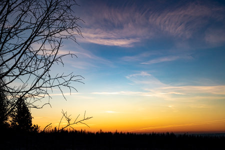 Dawn skies, pink clouds, delicate colors, bright skyの写真素材