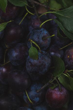 Fresh plums on wooden background. Selective focus. Toned.
