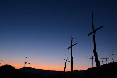 Shaped trees silhouettes at sunsetの写真素材