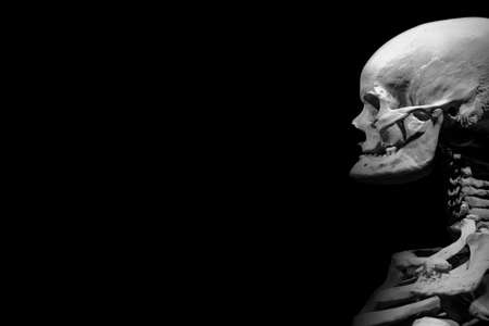 Human skeleton partner anatomical death abstract isloatedの写真素材