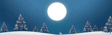 Christmas, trees in the winter forestの写真素材