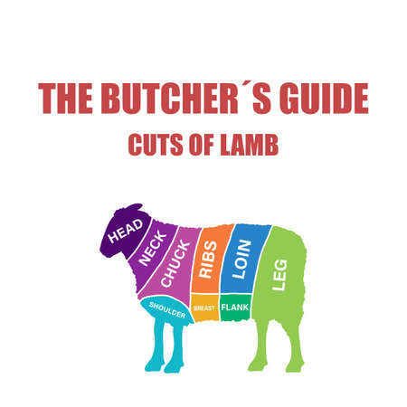 Lamb Cut of meat. Butcher diagram, schemeの写真素材