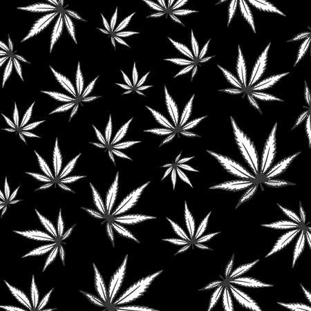 cannabis marijuana drug, herb rass legal healthy planted backgroundの写真素材
