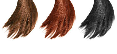 Hair natural color palette, Different colors isolated on white background, beautyの写真素材