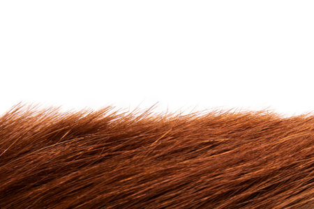 Brown red hair texture natural, isolated on white background, beauty
