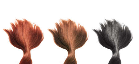 Hair natural color palette, Different colors isolated on white background panorama banner, beautyの写真素材