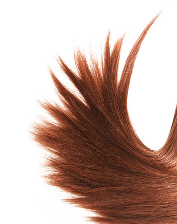 Brown red hair natural texture, isolated on white background, beauty