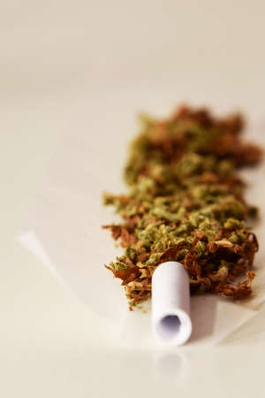 joints opened, Grinder with cannabis, Marijuanaの写真素材