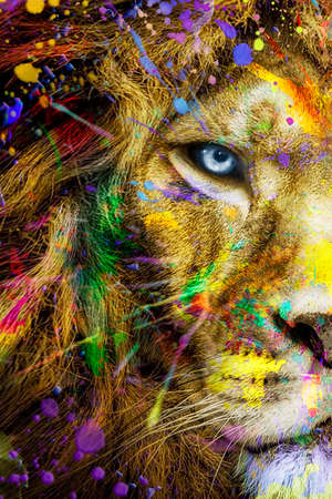 Full colors Lion, wildlife animal ink, modern abstract artの写真素材