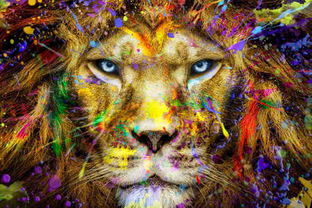 Full colors Lion, wildlife animal ink, modern abstract artの写真素材