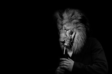 Man in the form of a Lion, The lion person, animal face isolated black whiteの写真素材