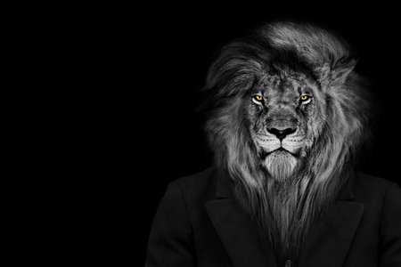 Man in the form of a Lion, The lion person, animal face isolated black whiteの写真素材
