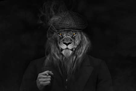 Man in the form of a Lion, The lion person, animal face isolated black whiteの写真素材