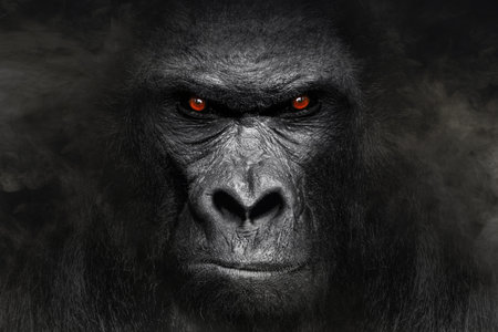 Gorilla mammal animal, black white wildlife
