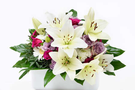 Composition with beautiful blooming lily flowers on white background, macroの写真素材