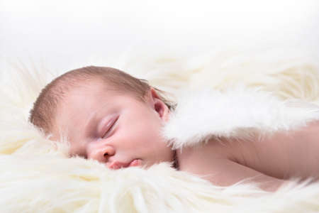 Beautiful Newborn baby girl sleeping with angel wings, isolated white backgroundの写真素材