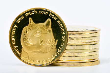 Dogecoin DOGE cryptocurrency isolated on white background, Face of the Shiba Inu dog on coin, Symbol...