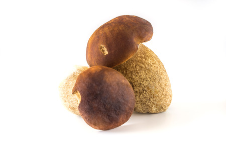 Fresh mushrooms on a white background, isolated, Boletus edulisの写真素材