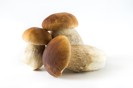 Fresh mushrooms on a white background, isolated, Boletus edulisの写真素材
