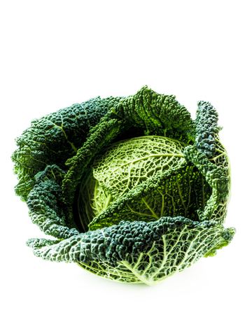 Savoy cabbage on the white background, excellent vegetablesのeditorial素材