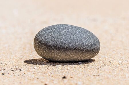 grey stone in the sand on the beachの写真素材
