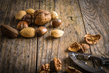 steel nutcracker and nuts of various kinds