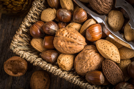 steel nutcracker and nuts of various kindsの写真素材