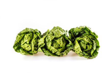 fresh green salad on a white background, lettuce leavesの写真素材