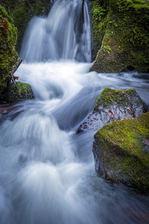 mountain stream surrounded by green forest, Slovakia