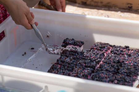pieces of delicious homemade blueberry pieの写真素材