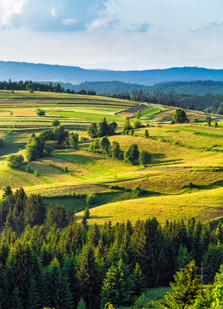 mountain meadows and pastures in Central Europe Slovakia, Polanaの写真素材