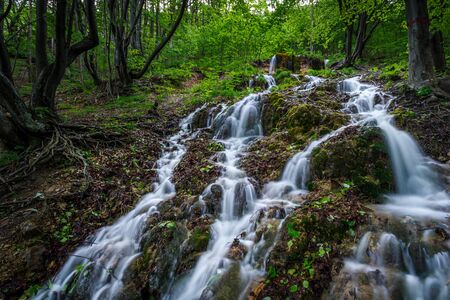 mountain stream surrounded by green forest, Slovakiaの写真素材