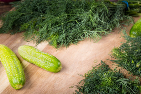 Cucumber on a wooden board with twig of dill. Branch seasoning aromatic spice.の写真素材