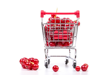 Bunch of red currants in a shopping cart on a white background. Healthy fruit with antioxidant.の写真素材